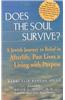 Does the Soul Survive?: A Jewish Journey to Belief in Afterlife, Past Lives & Living with Purpose