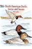 North American Ducks, Geese and Swans