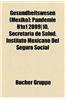 Gesundheitswesen (Mexiko): Pandemie H1n1 2009]10, Secretara de Salud, Instituto Mexicano del Seguro Social
