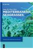 Mediterranean Seagrasses