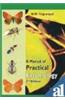 A Manual of Practical Entomology