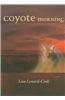 Coyote Morning