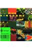Five Kingdoms