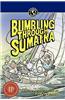 Bumbling Through Sumatra