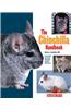 Chinchilla Handbook