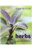 Grow Herbs
