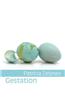 Gestation