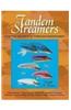 Tandem Streamers