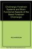 Activation to Acquisition: Functional Aspects of the Basal Forebrain Cholinergic System