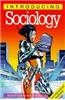 Introducing Sociology, 2nd Edition