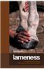 Lameness: Recognizing and Treating the Horse's Most Common Ailment
