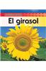 El Girasol = Sunflower