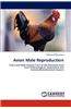 Avian Male Reproduction