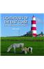 Lighthouses of the East Coast