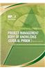 Guida Al Project Management Body of Knowledge: (Guida Al PMBOK)