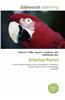 Eclectus Parrot
