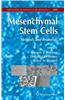 Mesenchymal Stem Cells
