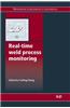 Real-Time Weld Process Monitoring
