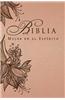 Biblia Mujer en el Espiritu-Rvr 1960