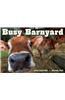 Busy Barnyard