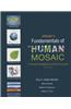 Jordan's Fundamentals of the Human Mosaic: A Thematic Introduction to Cultural Geography
