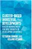 Cluster-Based Industrial Development:: Kaizen Management for Mse Growth in Developing Countries
