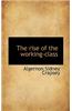 Rise of the Working-Class