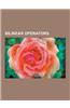 Bilinear Operators: Bilinear Map, Convolution, Cross-Correlation, Cross Product, Dirichlet Convolution, Frolicher-Nijenhuis Bracket, Lagra