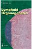 Lymphoid Organogenesis: Proceedings of the Workshop Held at the Basel Institute for Immunology 5th-6th November 1999