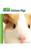 Guinea Pigs