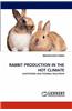 Rabbit Production in the Hot Climate