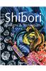 Shibori Designs and Techniques