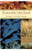 Consider the Leaf: Foliage in Garden Design
