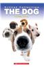 The Dog