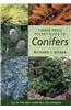 Timber Press Pocket Guide to Conifers