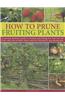How to Prune Fruiting Plants