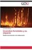 Incendios Forestales y Su Impacto