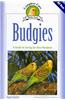 Budgies: A Guide to Caring for Your Parakeet
