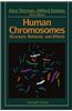 Human Chromosomes: Structure, Behavior, and Effects