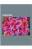 Curators: Archivists, Art Curators, Film Curators, Librarians, Museum Directors, Photography Curators, Alfred Stieglitz, Hans-Ul