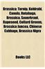 Brassica: Brassica Oleracea, Cabbage, Turnip, Kohlrabi, Broccoli, Canola, Rutabaga, Cauliflower, Brassica Napus, Broccoli Sprout
