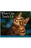 What Cats Teach Us 2012 Calendar