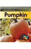 Life Cycle of a Pumpkin