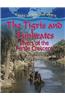 Tigris and Euphrates