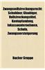 Zwangsvollstreckungsrecht: Schuldner, Glaubiger, Vollstreckungstitel, Kontopfandung, Inkassounternehmen, Schufa, Zwangsversteigerung