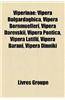 Viperinae: Vipera Bulgardaghica, Vipera Bornmuelleri, Vipera Darevskii, Vipera Pontica, Vipera Latifii, Vipera Barani, Vipera Din