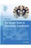 Beagle Brain in Stereotaxic Coordinates