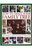 How to Trace Your Family Tree