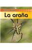 La Arana = Spider