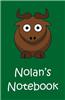 Nolan's Notebook
